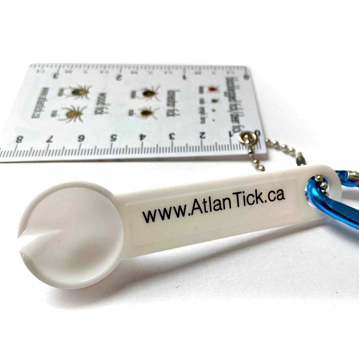 Atlantick — Scoop Keychain