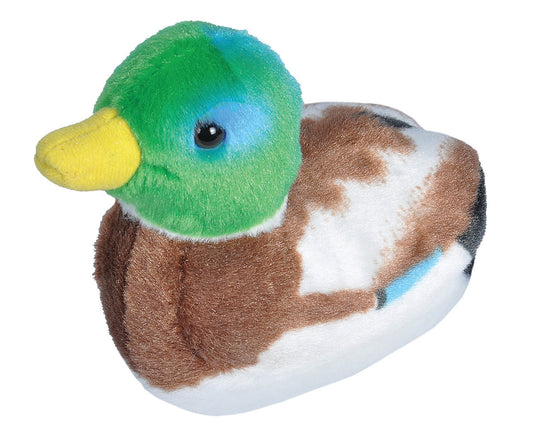 Mallard Duck - Stuffed Animal